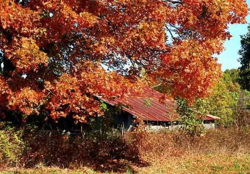 Отель Courtyard By Marriott Fayetteville