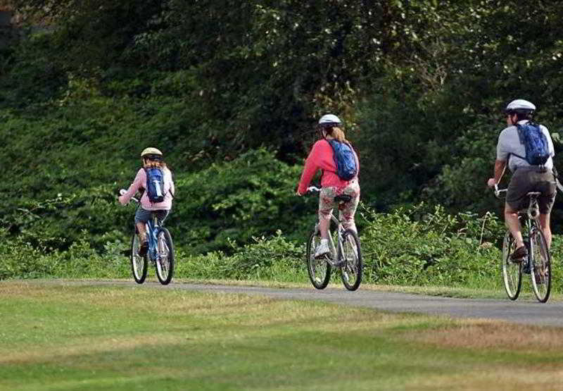 בית מלון כפרי Courtyard By Marriott Fayetteville