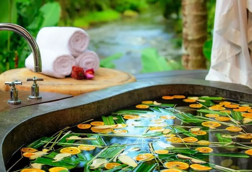 Hotel Fivelements Retreat Bali