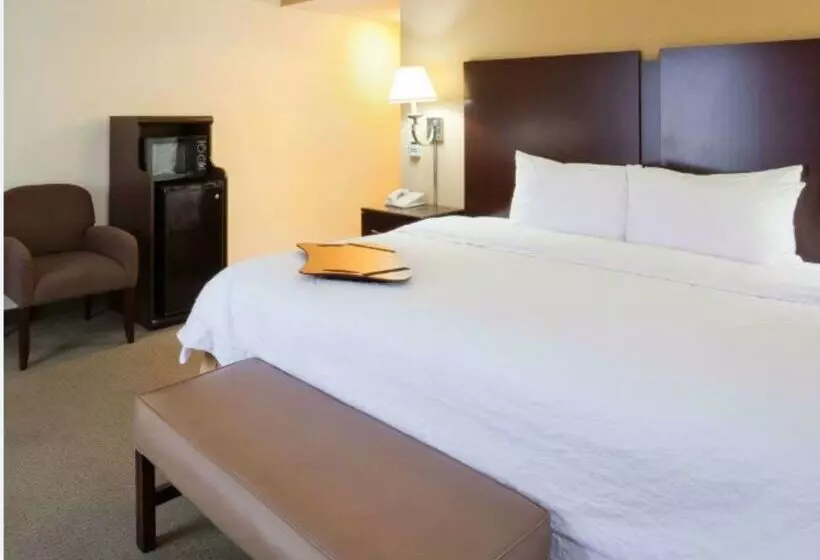 호텔 Hampton Inn & Suites Lino Lakes