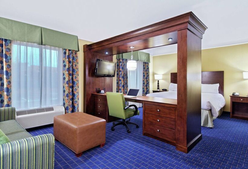 ホテル Hampton Inn & Suites Knoxvilleturkey Creek/farragut