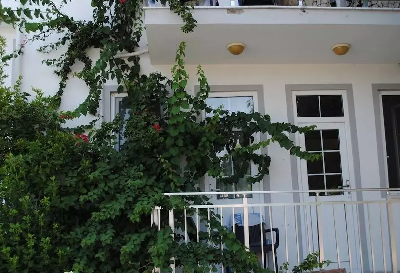 בית מלון כפרי Tugay