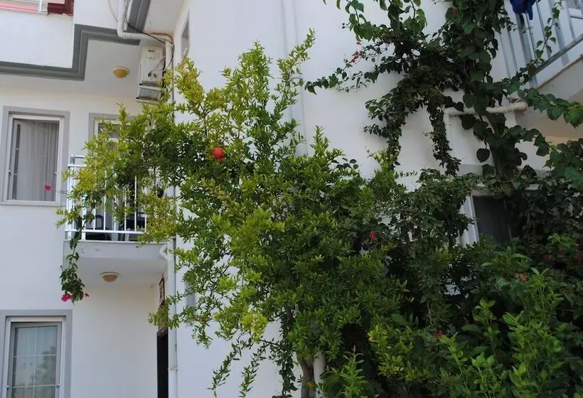 בית מלון כפרי Tugay