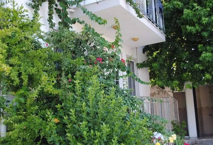 בית מלון כפרי Tugay