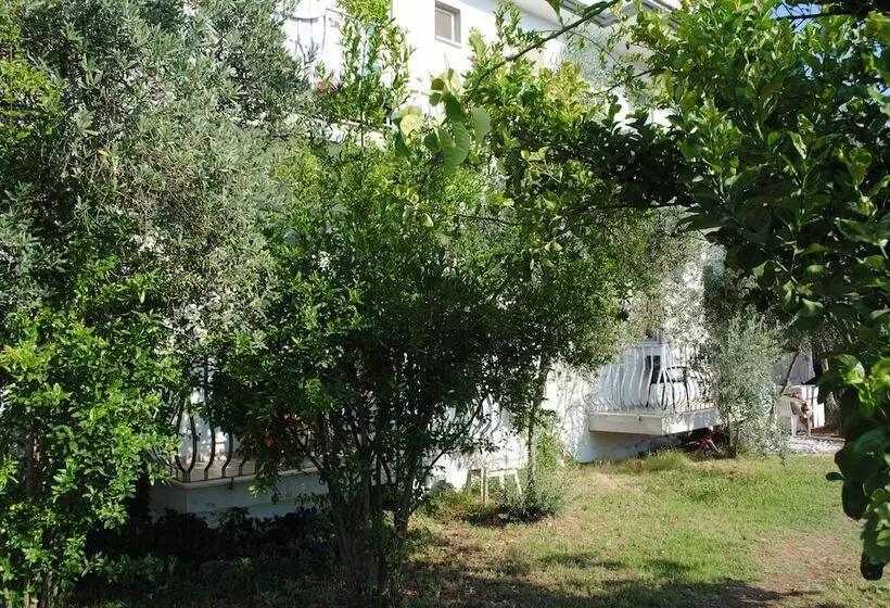 בית מלון כפרי Tugay