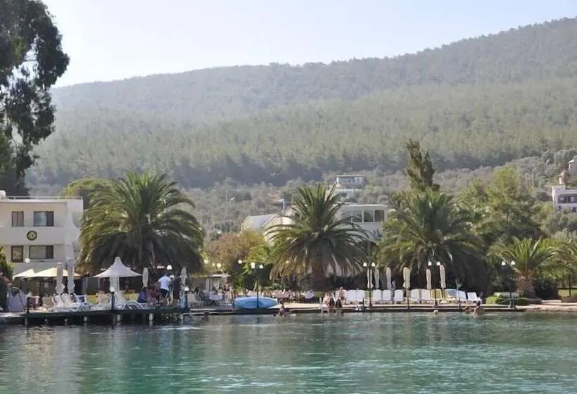 Oscar Seaside & Spa Hotel by Club Aquarium