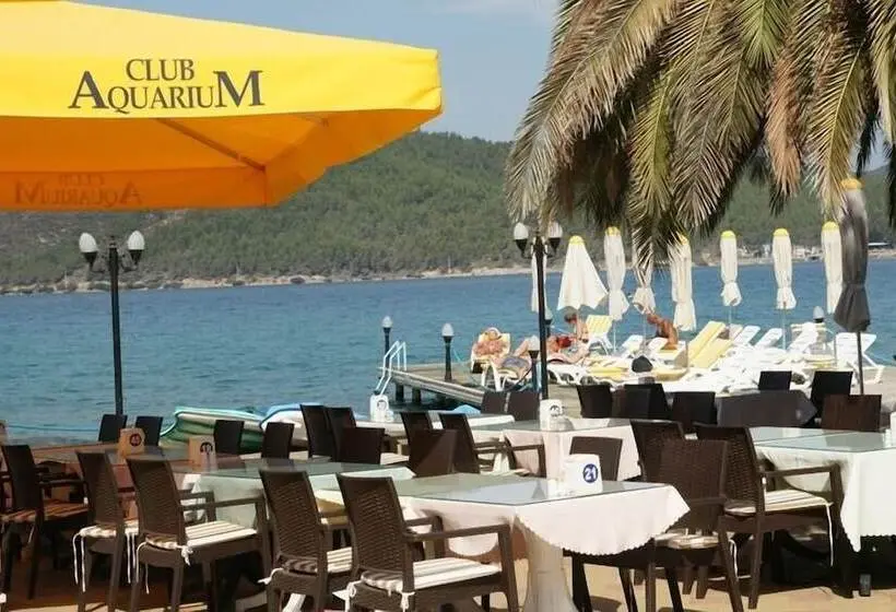 Oscar Seaside & Spa Hotel by Club Aquarium