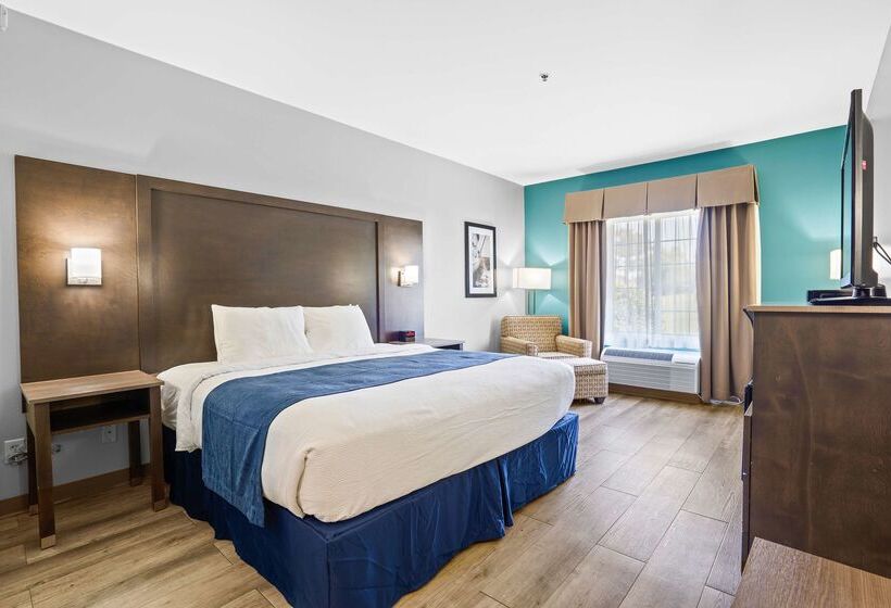 فندق Blue Water Inn & Suites, Bw Signature Collection