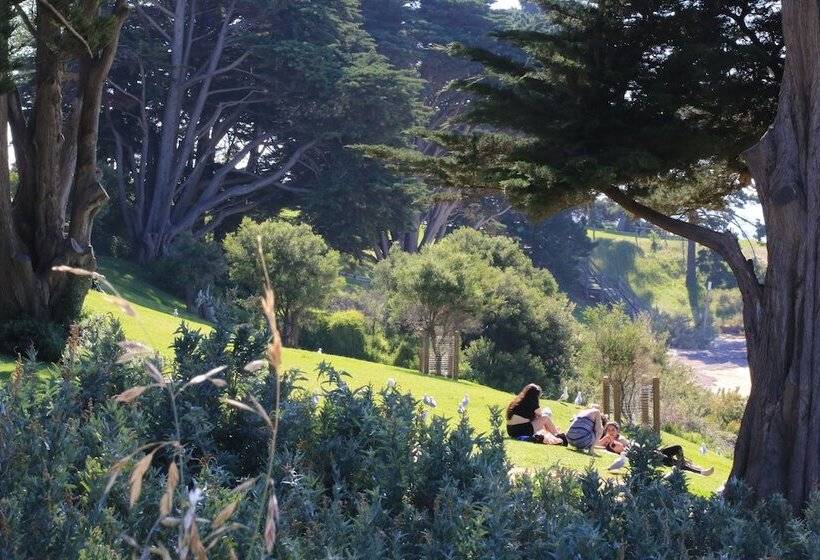 فندق Holmwood Guesthouse