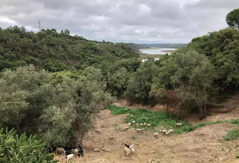 مسافرخانه Herdade Do Freixial Turismo Rural