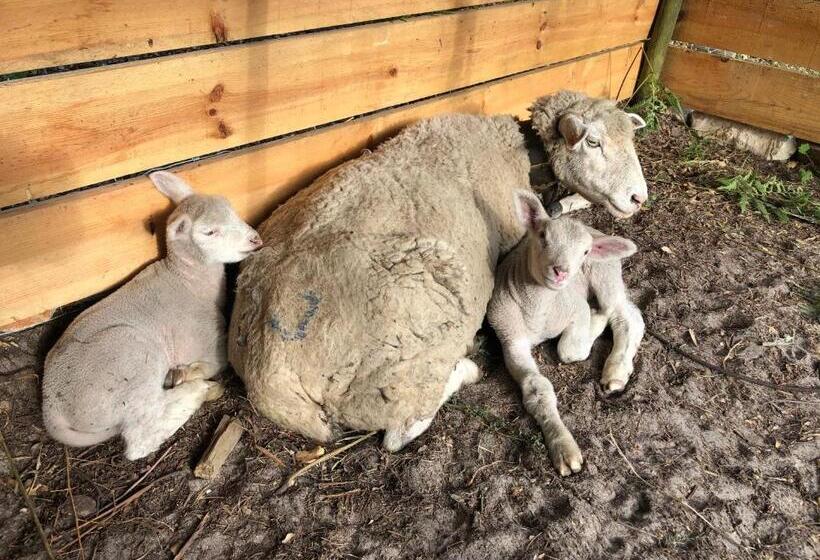 فندق فئة نجمة واحدة Herdade Do Freixial   Turismo Rural