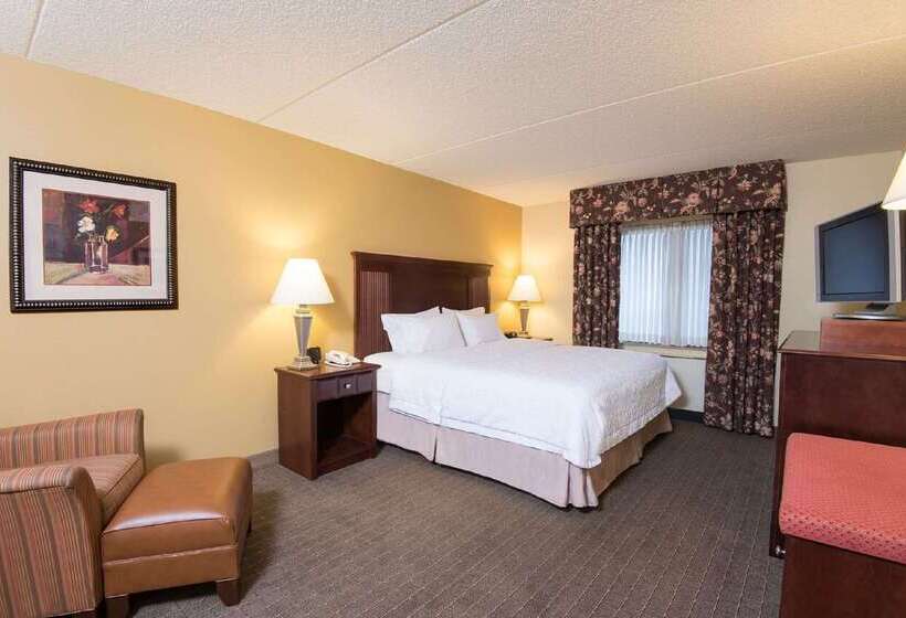 Hotel Hampton Inn Schenectady Downtown