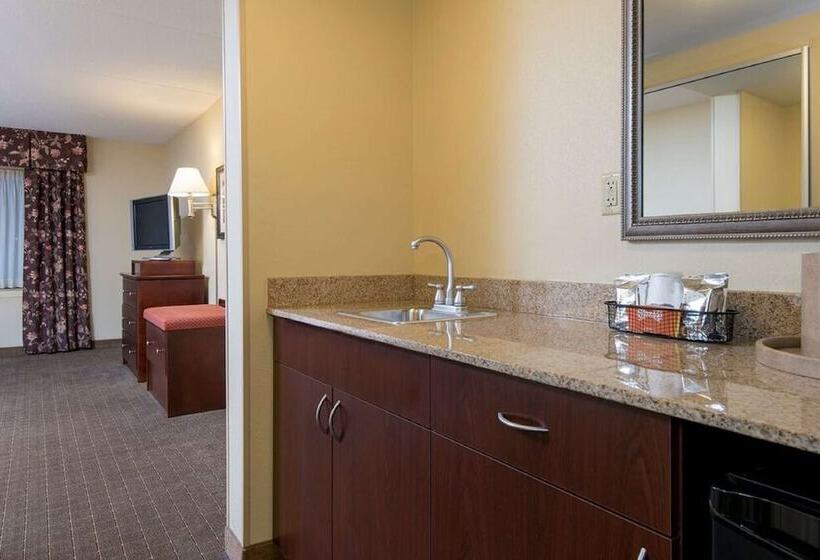 Hotel Hampton Inn Schenectady Downtown