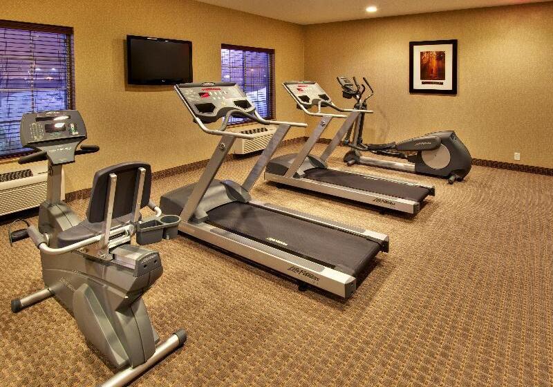 Holiday Inn Express Hotel & Suites Council Bluffs   Convention Center Area, An Ihg