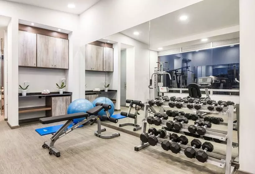 酒店 NH Bogota Urban 93 Royal