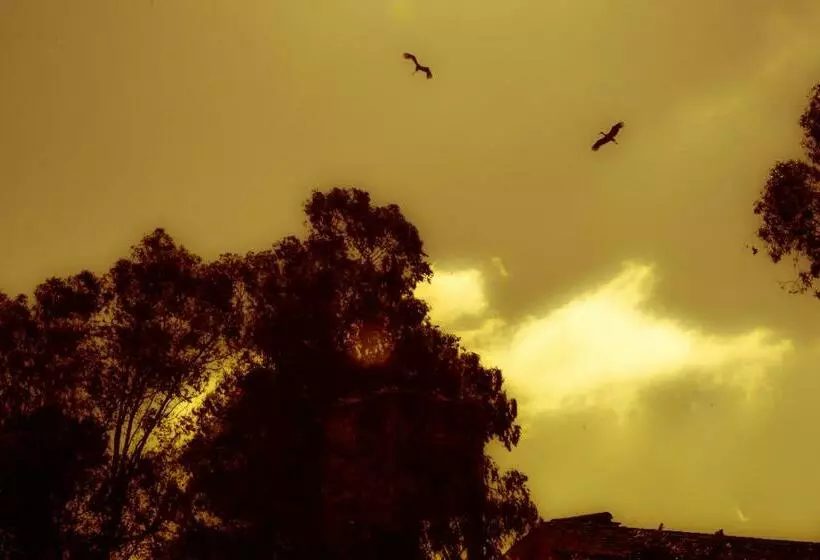 Lodge Monte Do Sobral