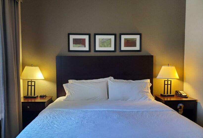 Holiday Inn Express Hotel & Suites Mankato East, An Ihg