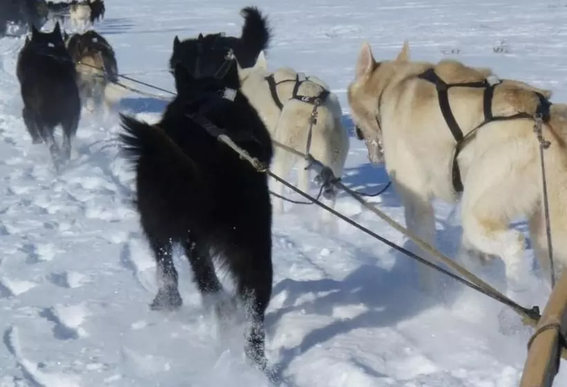 Hotel Engholm Husky Design Lodge