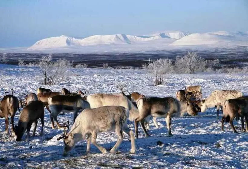 Hotel Engholm Husky Design Lodge