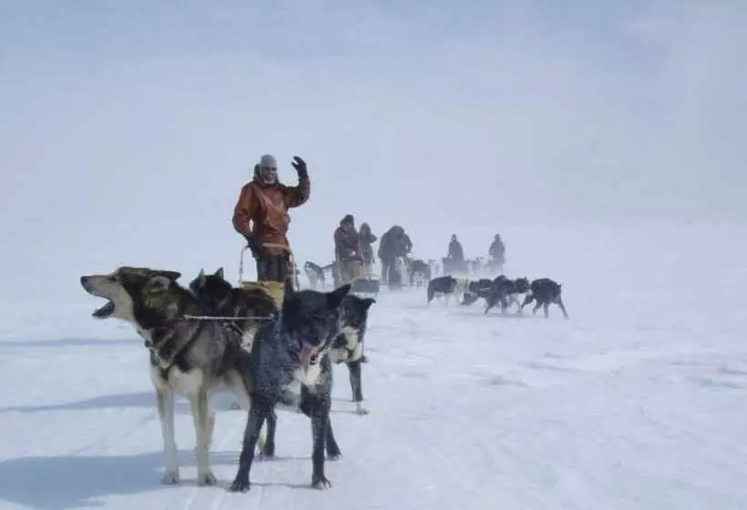 Hotel Engholm Husky Design Lodge