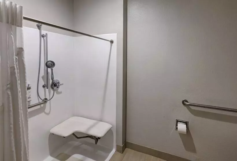 Holiday Inn Express Hotel & Suites Shelbyville, An Ihg