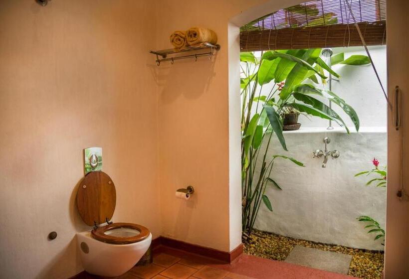 فندق Old Harbour