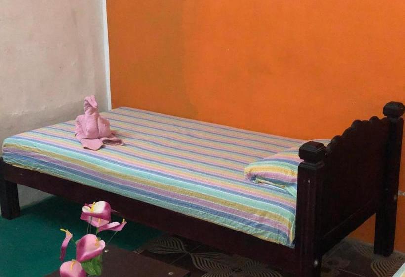 Отель Villa Brook Heritage Home