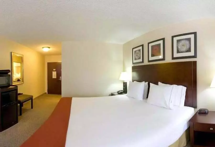 Holiday Inn Express Hotel & Suites Dickson, An Ihg