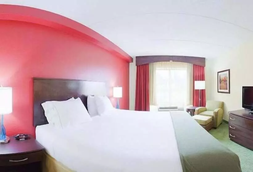 호텔 Holiday Inn Express & Suites   Spartanburg North, An Ihg