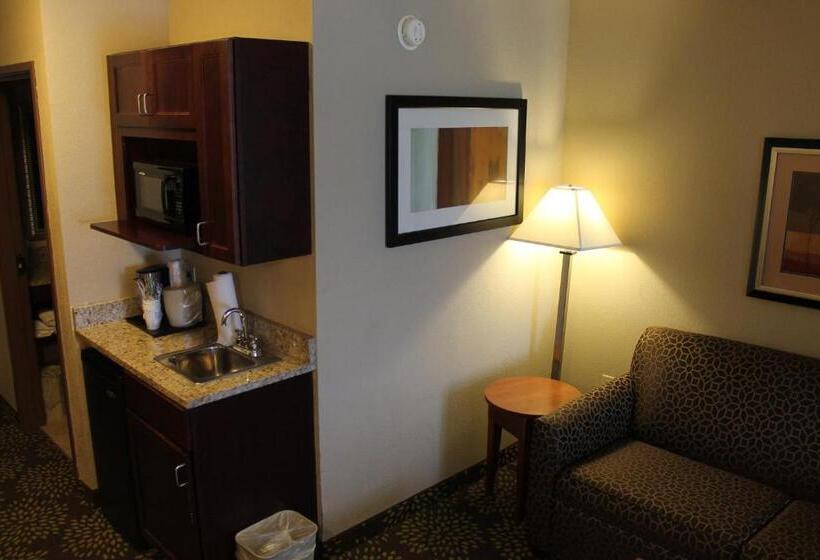 בית מלון כפרי Holiday Inn Express & Suites Starkville By Ihg