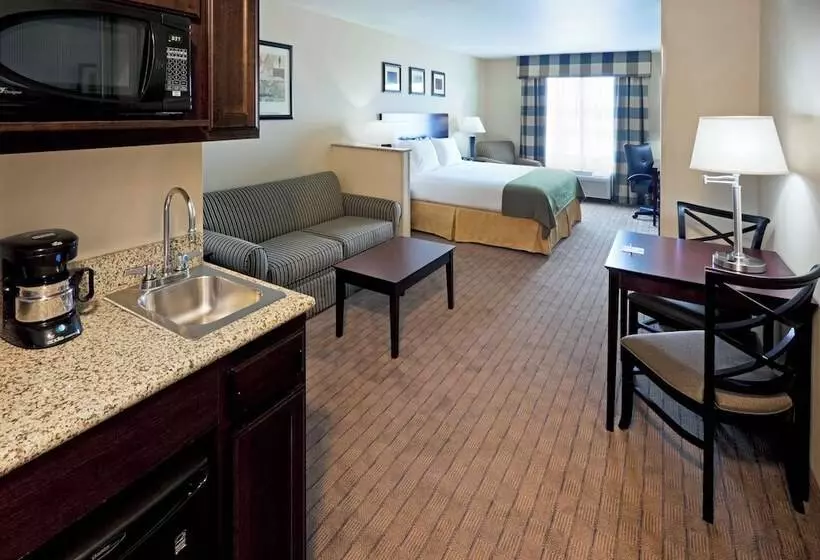 Holiday Inn Express Hotel & Suites Syracuse North Airport Area, An Ihg