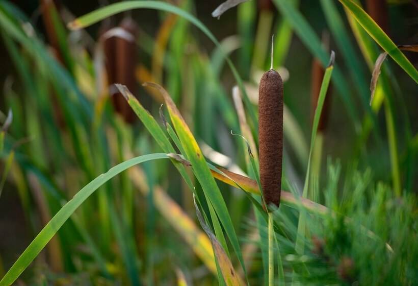 فندق Oshu Akiu Onsen Rantei