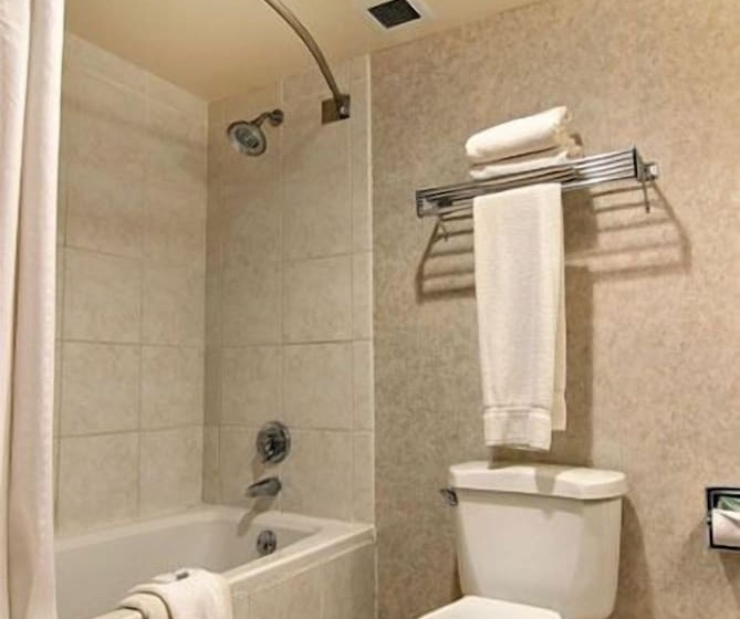 هتل Ruidoso Mountain Inn