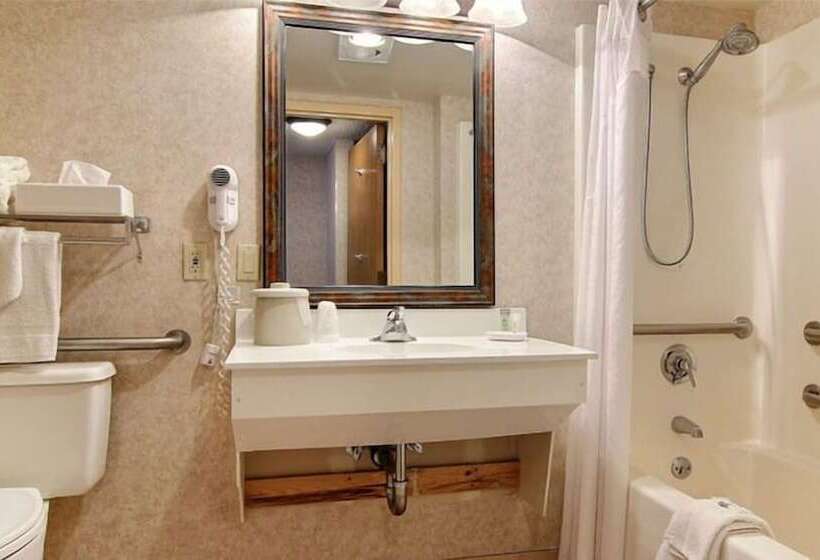 هتل Ruidoso Mountain Inn