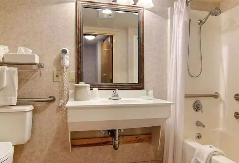 Hotel Ruidoso Mountain Inn