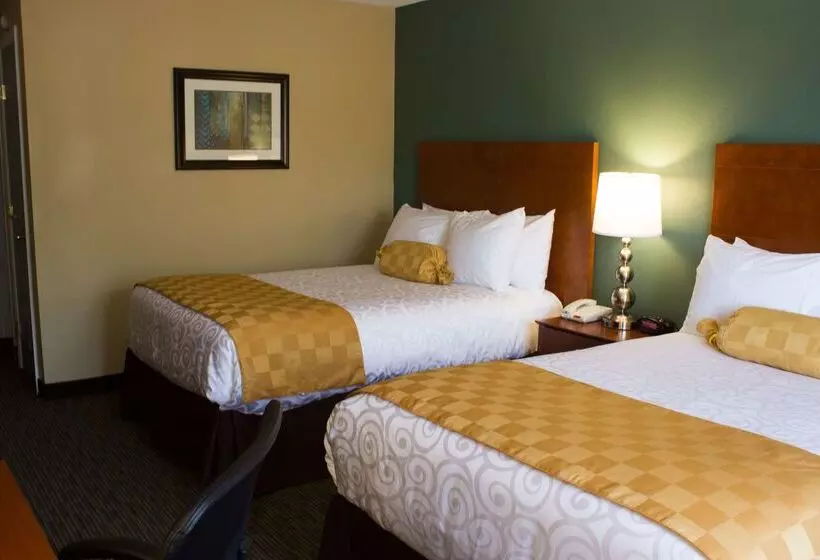 酒店 Best Western Kilmarnock