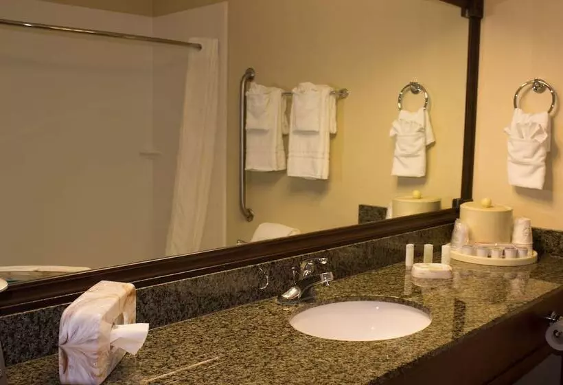 酒店 Best Western Kilmarnock