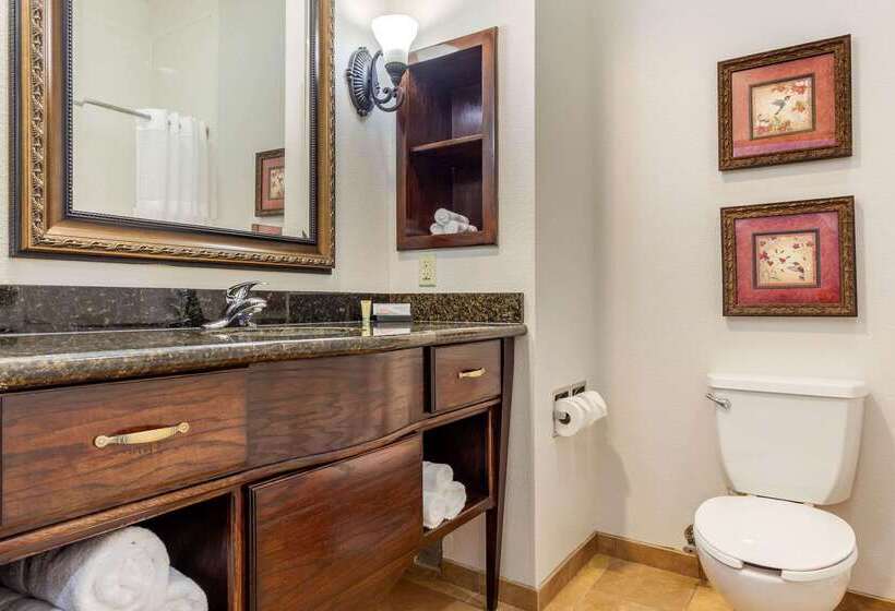 فندق Clarion Pointe Sulphur Springs