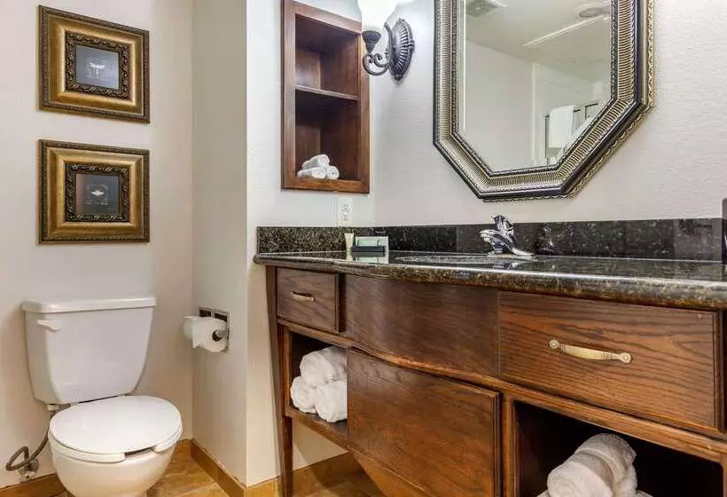 Hotel Clarion Pointe Sulphur Springs