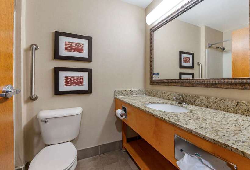 בית מלון כפרי Comfort Inn