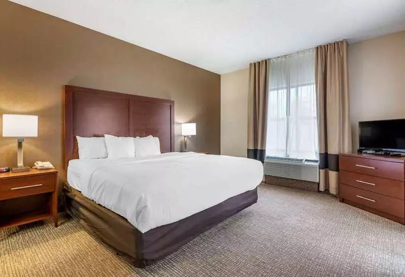 هتل Comfort Inn