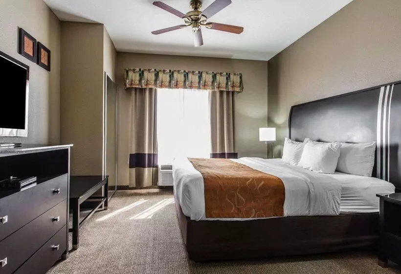 酒店 Comfort Suites Bakersfield