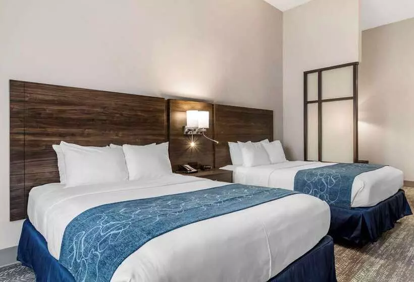 ホテル Comfort Suites Mcdonough Atlanta South