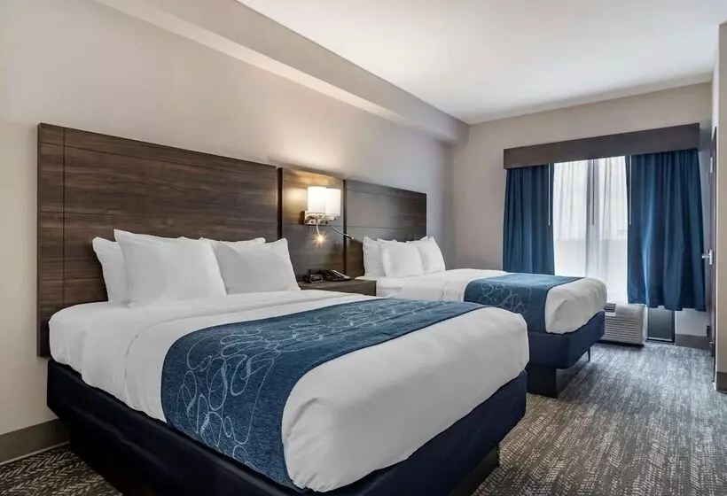 ホテル Comfort Suites Mcdonough Atlanta South