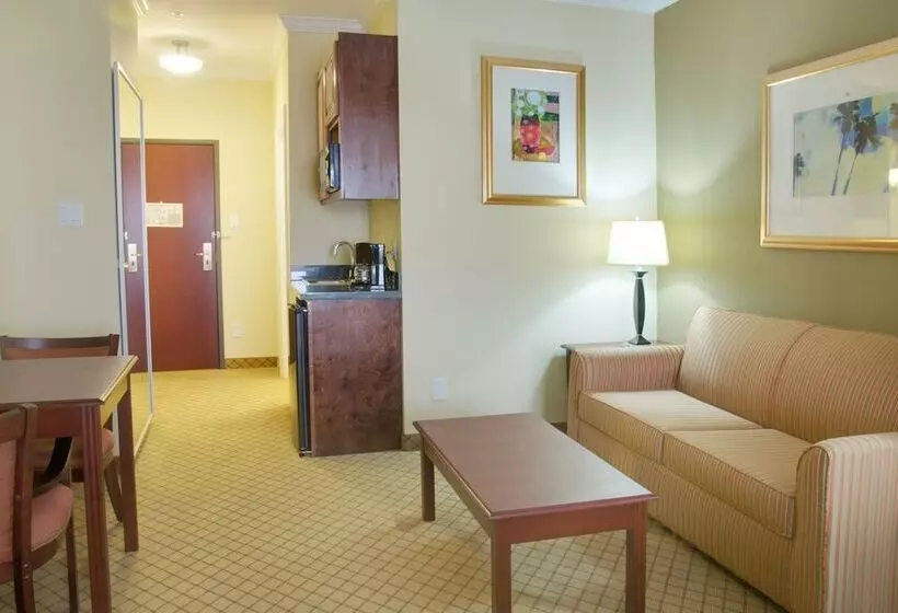 Holiday Inn Express Hotel & Suites Winnie, An Ihg