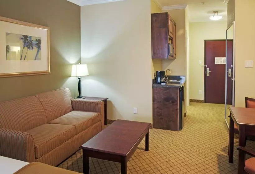 Holiday Inn Express Hotel & Suites Winnie, An Ihg
