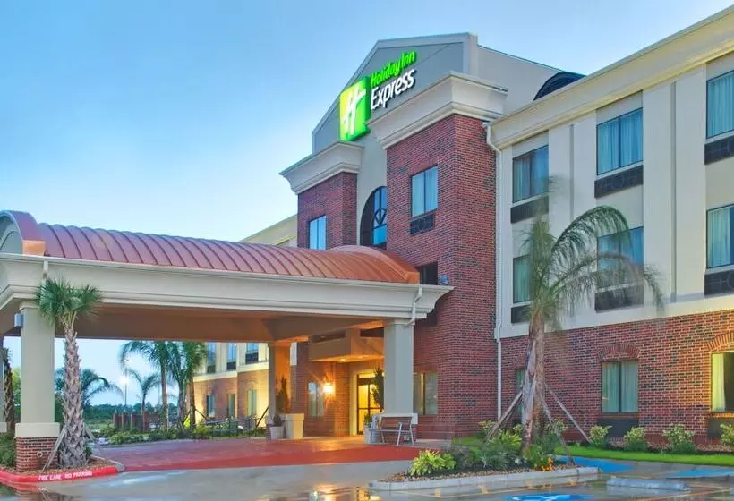 Holiday Inn Express Hotel & Suites Winnie, An Ihg