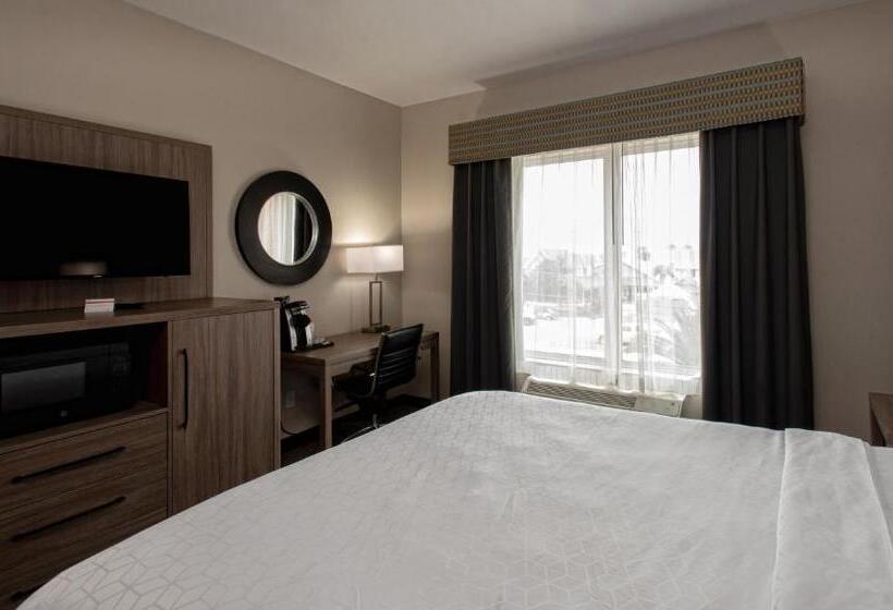 Holiday Inn Express Hotel And Suites Port Aransas/beach Area, An Ihg