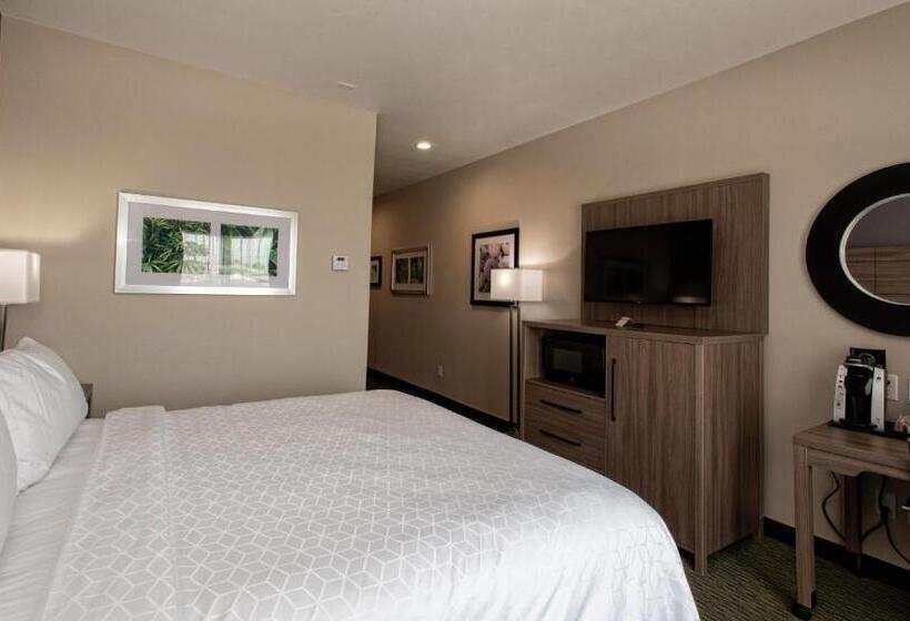 Holiday Inn Express Hotel And Suites Port Aransas/beach Area, An Ihg