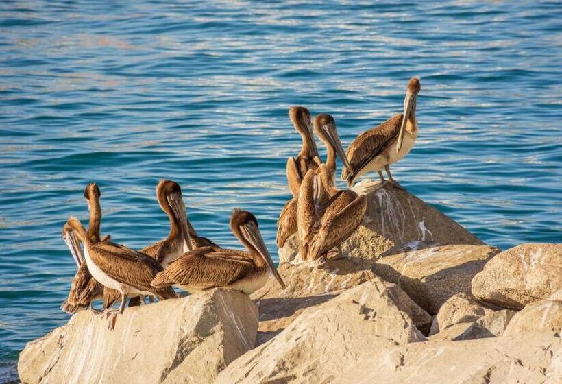 فندق Morro Bay Beach Inn